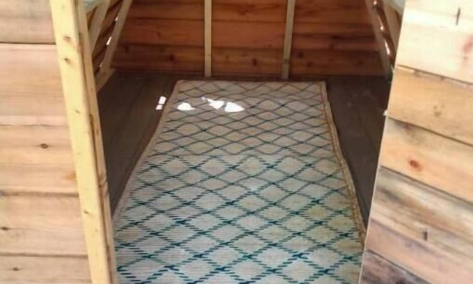 Cass City Cabin | A Frame Bunkie