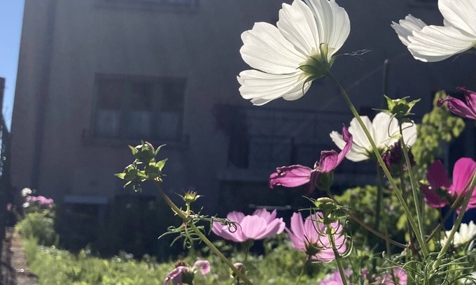 Ranguevaux House | A green setting in the heart of a region rich in industrial heritage