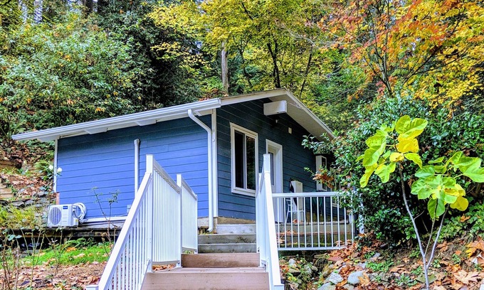Lake Forest Park Cabin | A private newly renovated cabin surrounded by trees