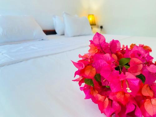 Pottuvil Division 2 Hotel | Aaliya Bay