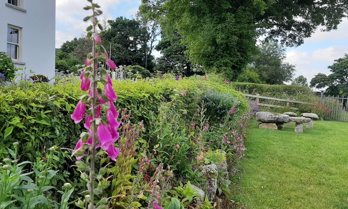 Hollywood Bed & Breakfast | Abhainn Ri Farmhouse B&B