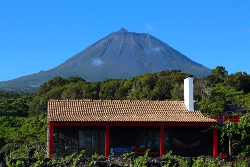 Sao Roque do Pico Ski Chalet | Adega Fraga