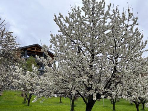 Saint-Pierre Bed & Breakfast | Affittacamere Verger Plein Soleil