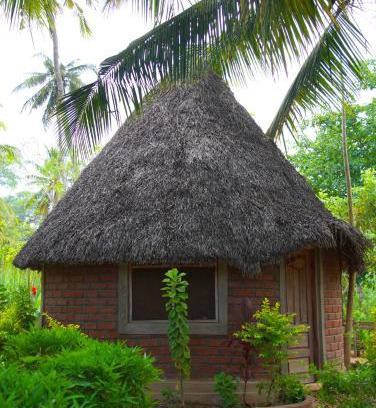 Tanzania House | AFLII Homestay