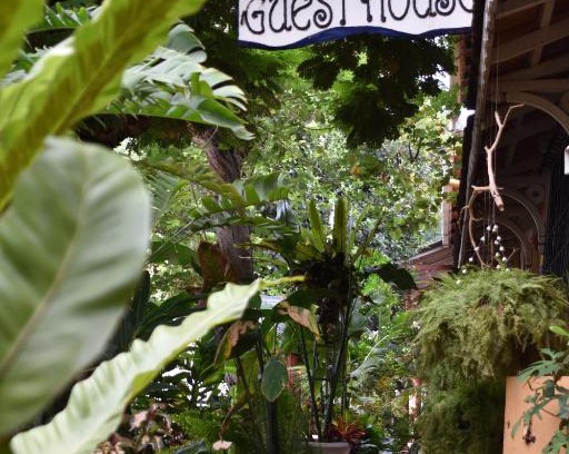 Fontainhas House | Afonso Guest House - Fontainhas