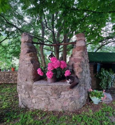 Volta Mantovana House | Agriturismo Case in Collina