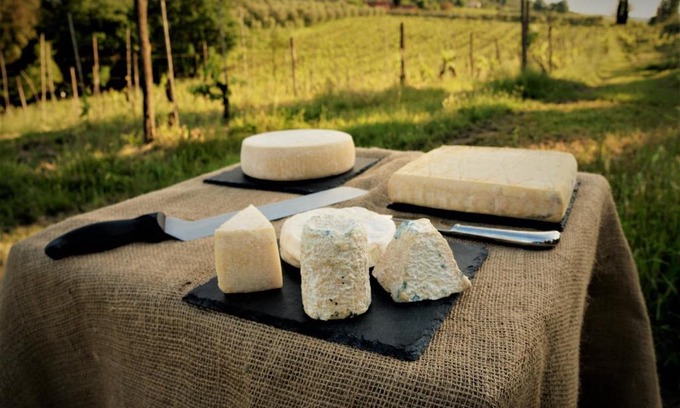 Gambassi Terme Bed & Breakfast | Agriturismo Fattoria le caprine