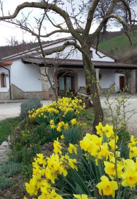 Baselice House | Agriturismo Il Regio Tratturo