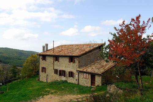 Vivo dʼOrcia Apartment | - Agriturismo La Piaggia - forest view apartment on the ground floor 2 guests