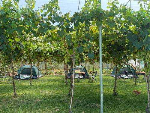 Berat Other | Agro Camping Harmony