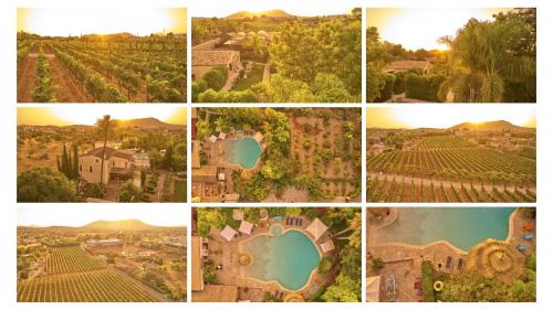 Inca House | Agroturismo Sa Vinya des Convent