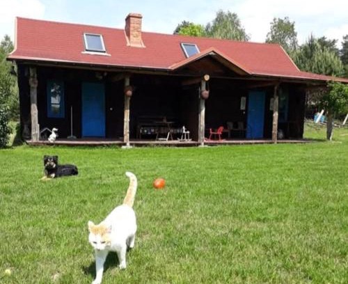 gmina Harasiuki House | Agroturystyka O czym szumią sosny