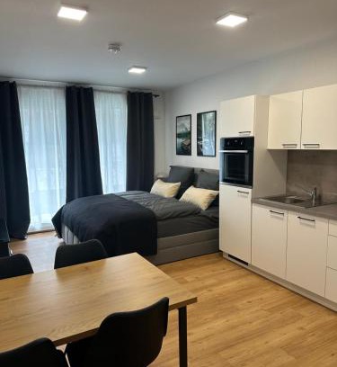 Hessental Apartment | AIL Hall Studio