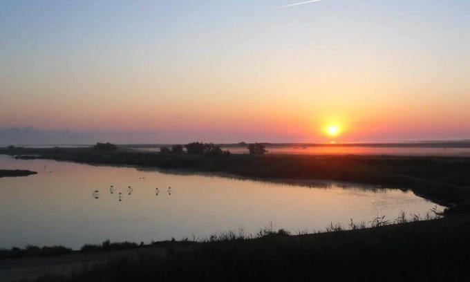 Saintes-Maries-de-la-Mer House | Air-conditioned Flamingo room with pond view (free breakfast).