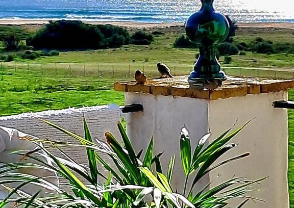 Atlanterra Apartment | AIRUNNES Atico duplex Zahara primera linea