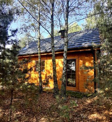 gmina Olsztyn House | Ajurweda na Jurze Agroturystyka