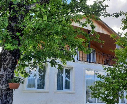 Ambrolauri House | Akidoni