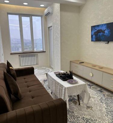 Dushanbe Apartment | Al-Beruni 4