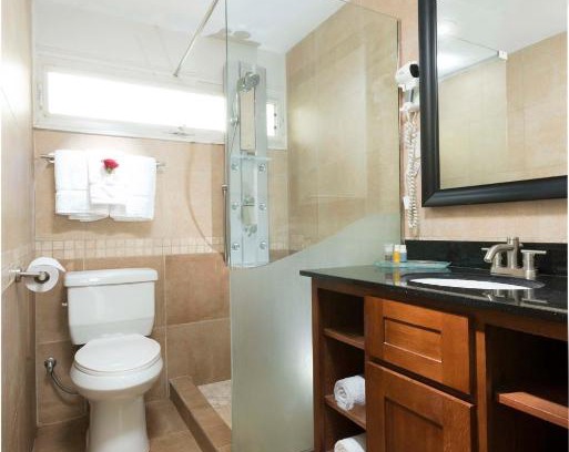 Playa Resort | All Inclusive Divi Flamingo Beach Resort