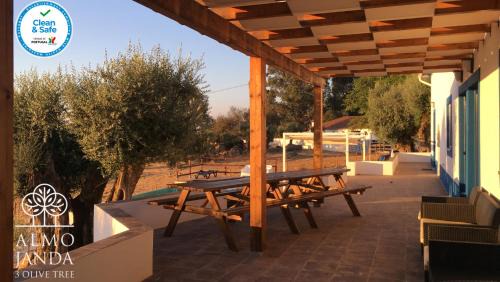 Fortios House | Almojanda 3 olive tree