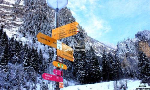 Blausee Apartment | Alpina Appartment 2