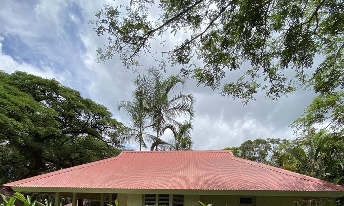 Sarramea House | Alpinia bungalow in Sarramea