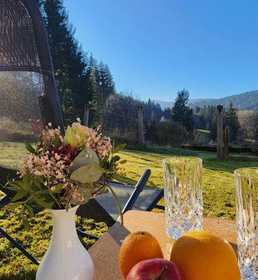 Feldberg Apartment | Alte Schmiede