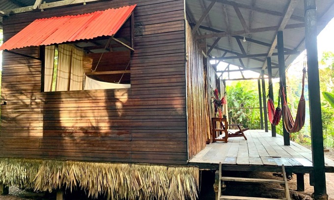Puerto Maldonado Hotel | amazonian oropendola tambopata