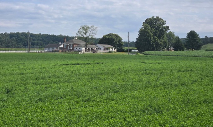 Gap Other | AMISH STAY/Buggy Rides/Fire pit/Pet Animals/(24 min) intercourse attractions