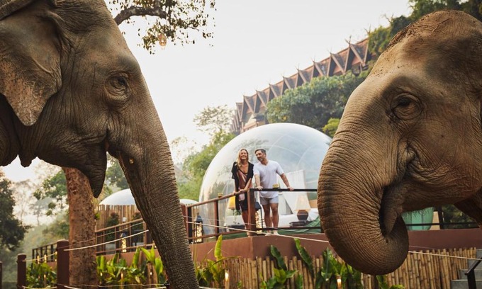 Sop Ruak Resort | Anantara Golden Triangle Elephant Camp & Resort