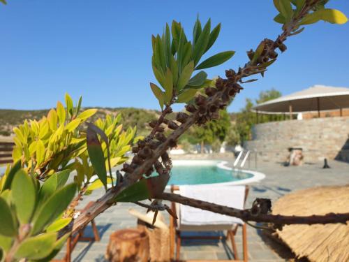Galissas Resort | Anassa Cycladic Village