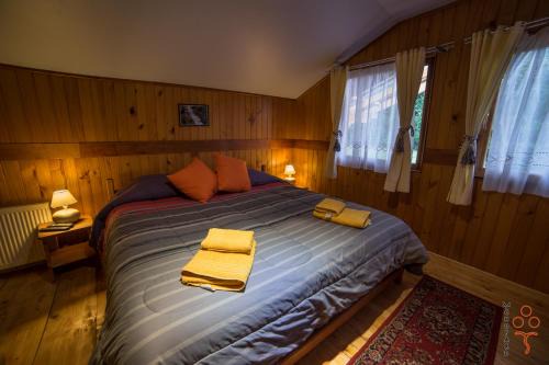 Curacautin Cabin | Andenrose
