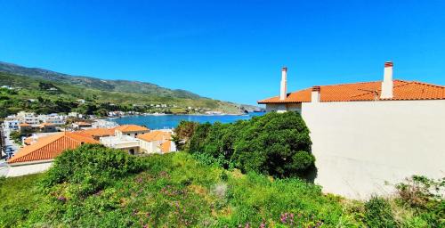 Paleopolis Apartment | Andros Apartment - Lasia