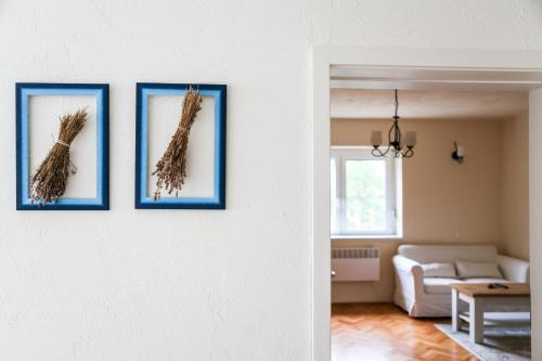 Tarcal Apartment | Angelina Vendégház