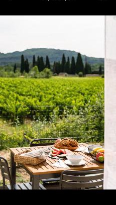 Goudargues Apartment | ANNA : vue sur les vignes, spa exterieur, sans vis-a-vis
