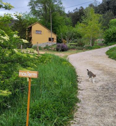 Sant Esteve d'en Bas Apartment | Apartament a Mas l'Erm