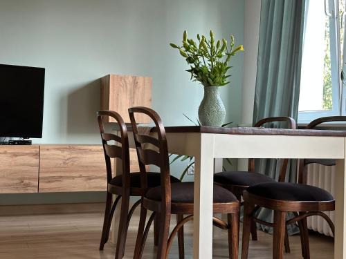 Czestochowa Apartment | Apartament Centrum