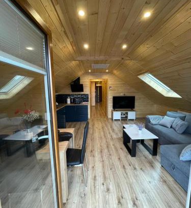 Kroscienko nad Dunajcem Apartment | Apartament na poddaszu u Reni