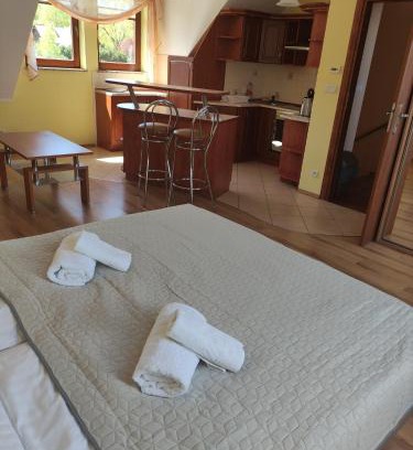 Tanowo Apartment | Apartament Pod Lasem
