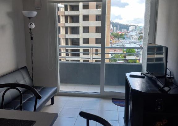 Concepcion Apartment | Apartamento Manuel Rodriguez 140