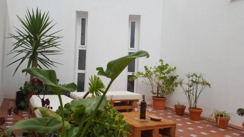 San Fernando Apartment | Apartamentos Coralba - Dúplex Bahía de Cádiz