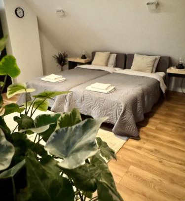 Szczawno-Zdroj Apartment | Apartamenty Astor - Księżycowy