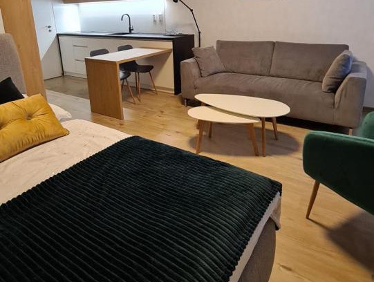 Rajecke Teplice Apartment | Apartmán Hestia 5