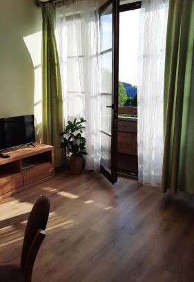 Ricky v Orlickych horach Apartment | Apartmán PERLA 28, Říčky
