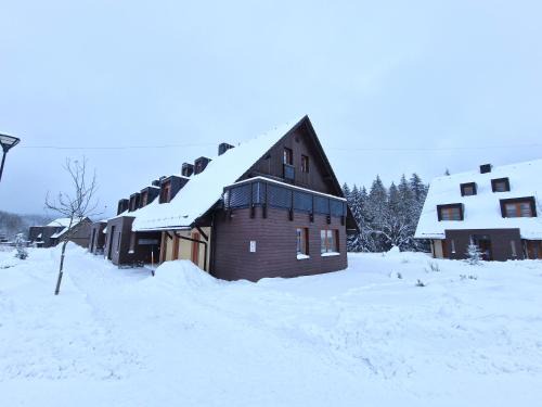 Ricky v Orlickych horach Apartment | Apartmán s terasou