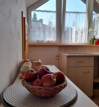 Nove Mesto na Morave Apartment | Apartmán u potoka