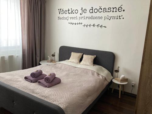 Michalovce Apartment | Apartmán Zemplín