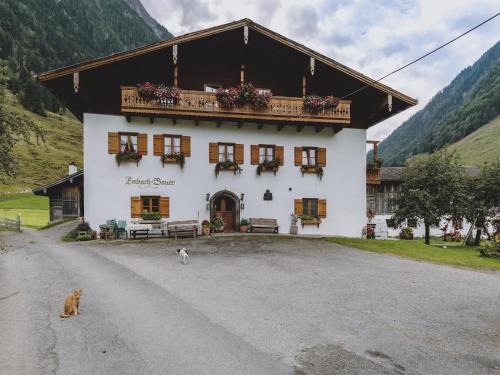 Fusch an der Grossglocknerstrasse Apartment | Apartment in Fusch an der Glocknerstraße in nature