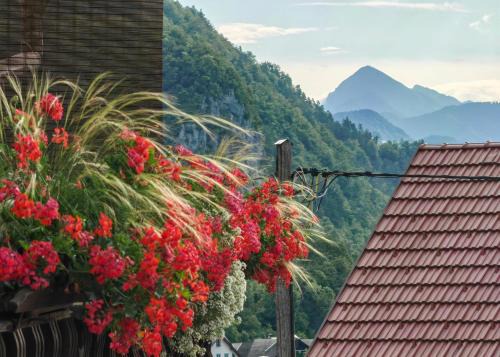 Bohinjska Bela Apartment | Apartma Bela