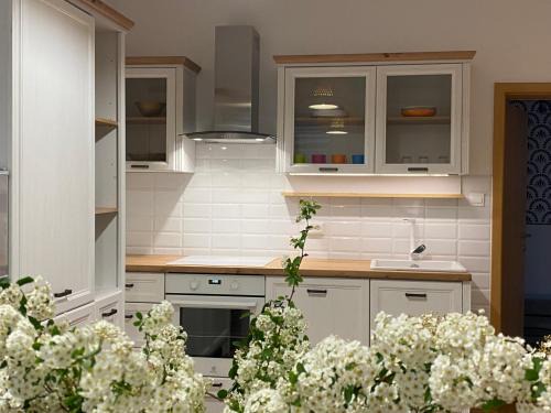 Rogatec Apartment | Apartma ROGATEC